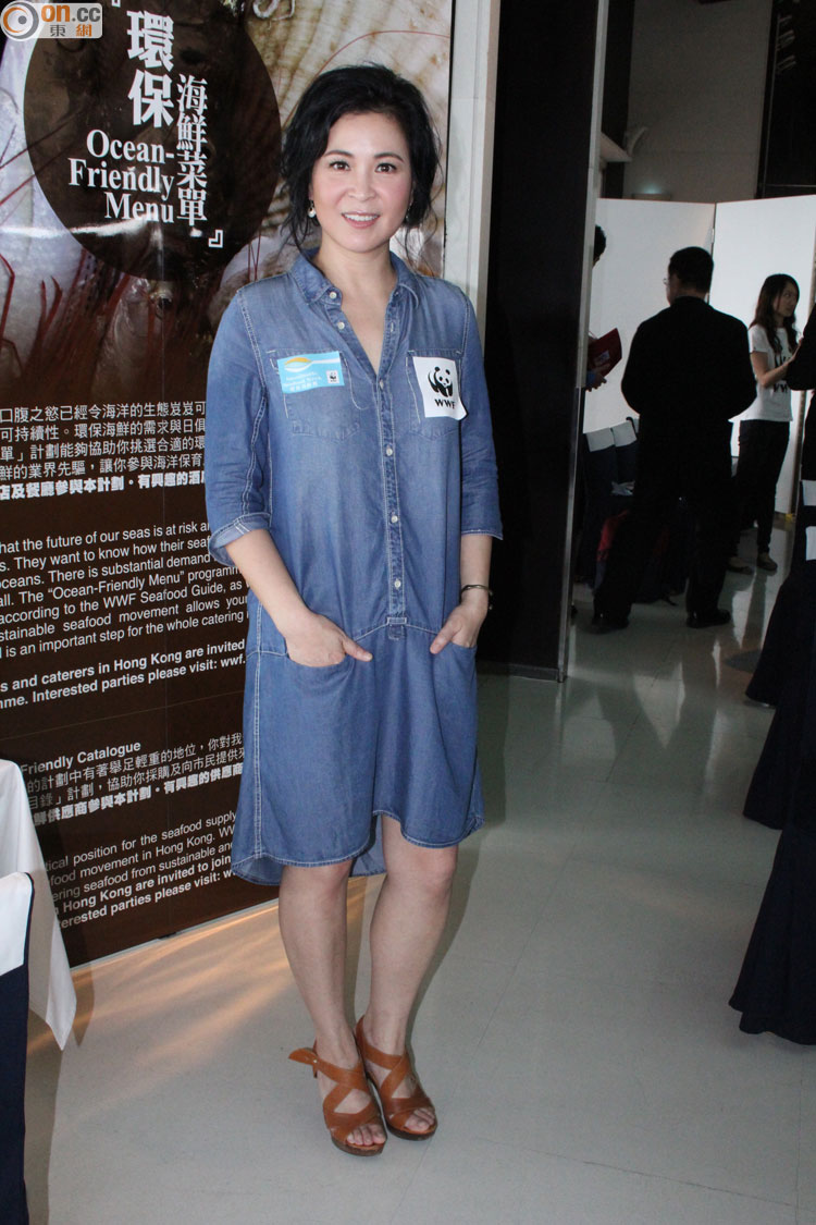 苏玉华 louisa so 影视艺人 artiste booking sing